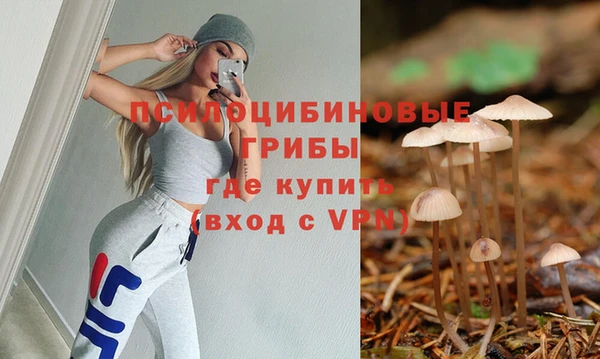 бутират Алзамай